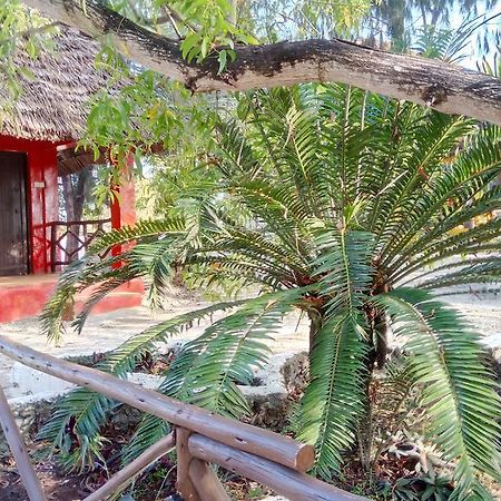 Twisted Palms Lodge & Restaurant Bwejuu Buitenkant foto