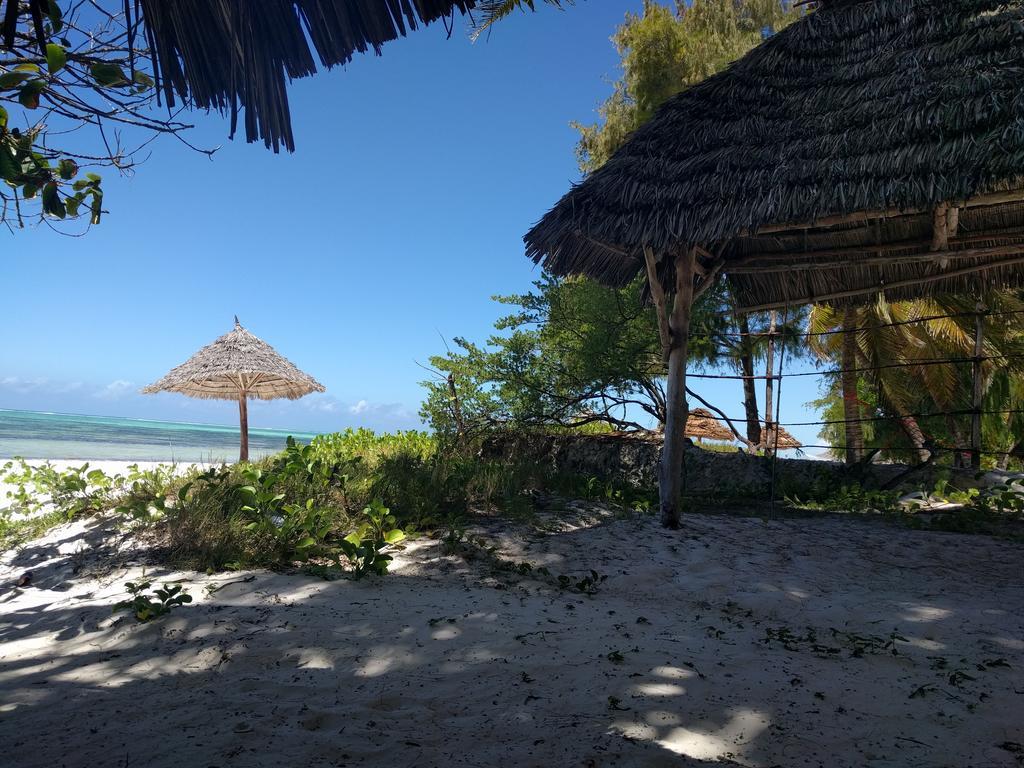 Twisted Palms Lodge & Restaurant Bwejuu Buitenkant foto