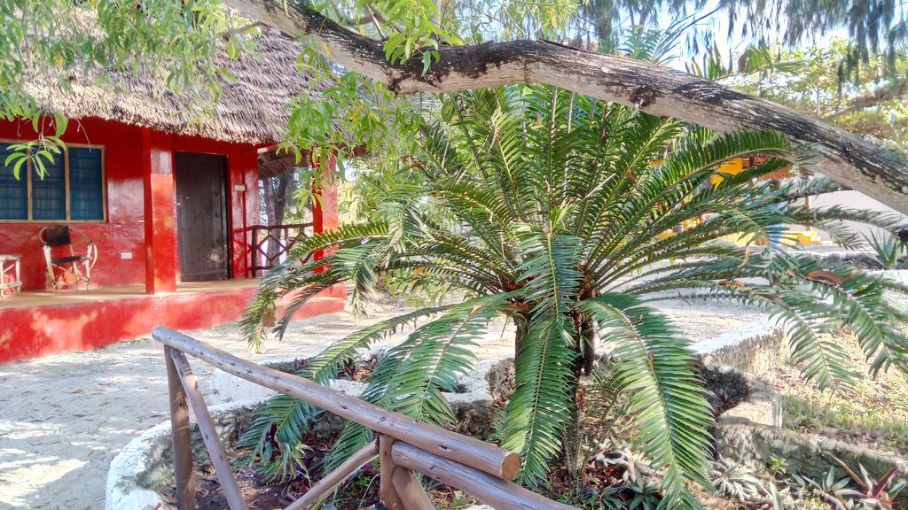 Twisted Palms Lodge & Restaurant Bwejuu Buitenkant foto