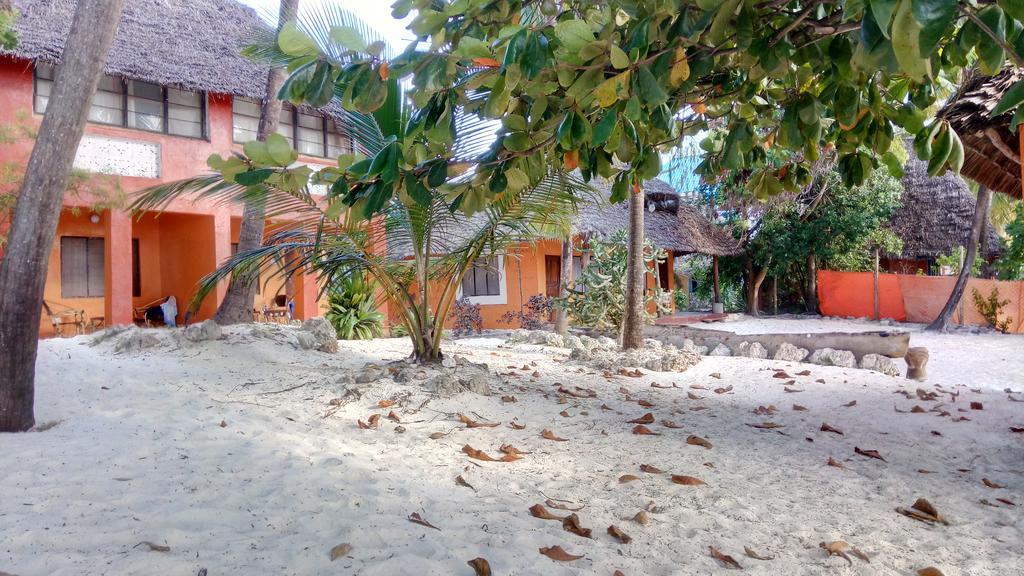 Twisted Palms Lodge & Restaurant Bwejuu Buitenkant foto